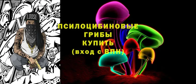 цены   Алапаевск  гидра   Псилоцибиновые грибы Psilocybine cubensis 